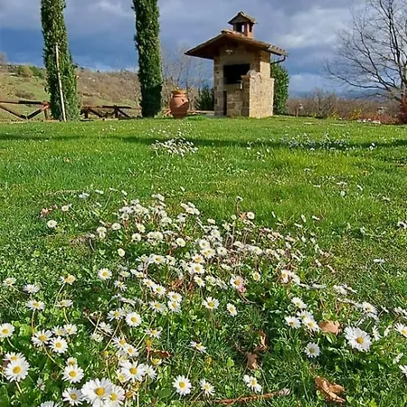 L'antico Cipresso