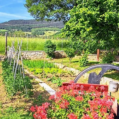 Alojamento de Turismo Rural L'antico Cipresso Poppi
