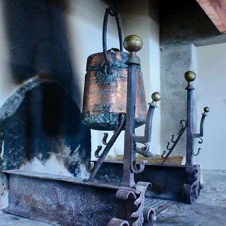 L'antico Cipresso *