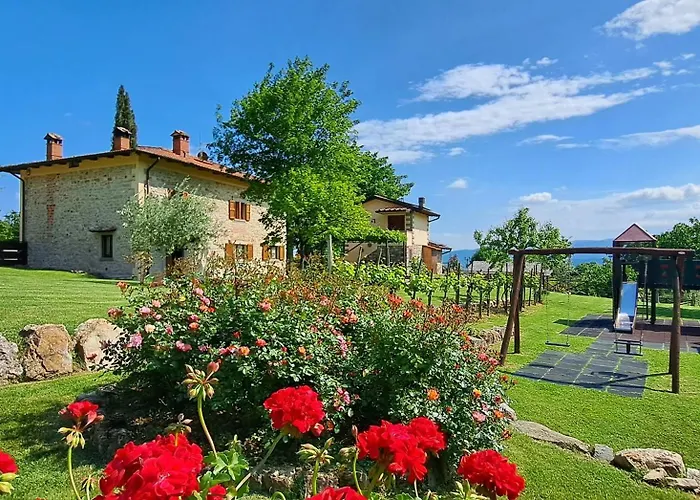 L'antico Cipresso بوبّي