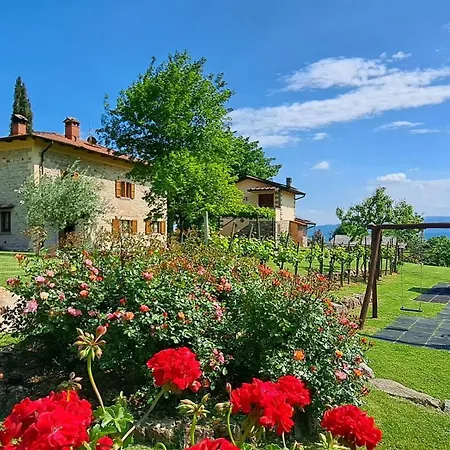 L'antico Cipresso Poppi