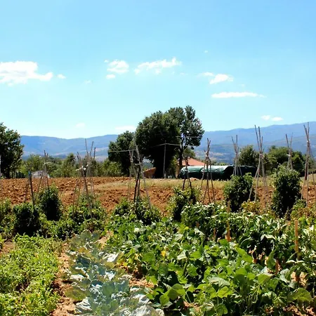 L'antico Cipresso Farm stay